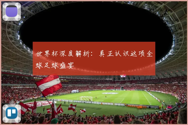 世界杯深度解析:真正认识这项全球足球盛宴