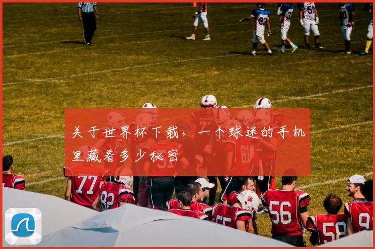 关于世界杯下载,一个球迷的手机里藏着多少秘密
