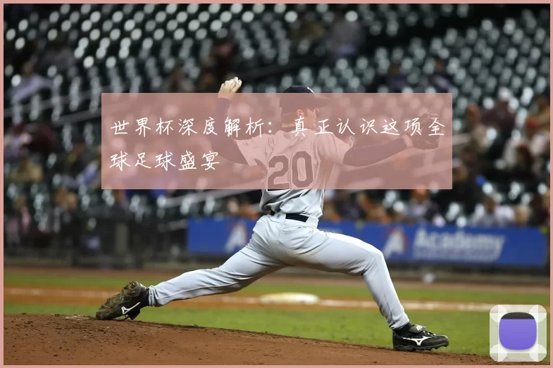 世界杯深度解析:真正认识这项全球足球盛宴
