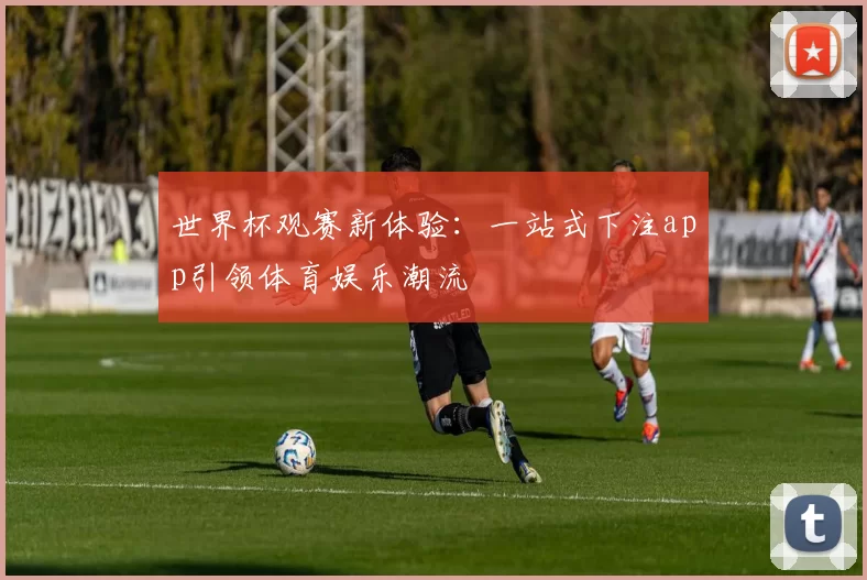 世界杯观赛新体验:一站式下注app引领体育娱乐潮流