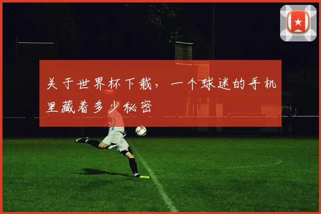 关于世界杯下载,一个球迷的手机里藏着多少秘密