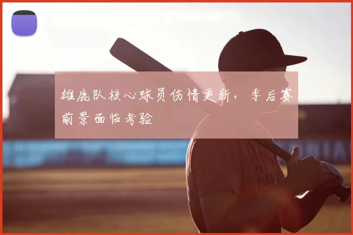 雄鹿队核心球员伤情更新，季后赛前景面临考验