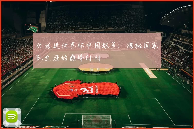 对话进世界杯中国球员:揭秘国家队生涯的巅峰时刻