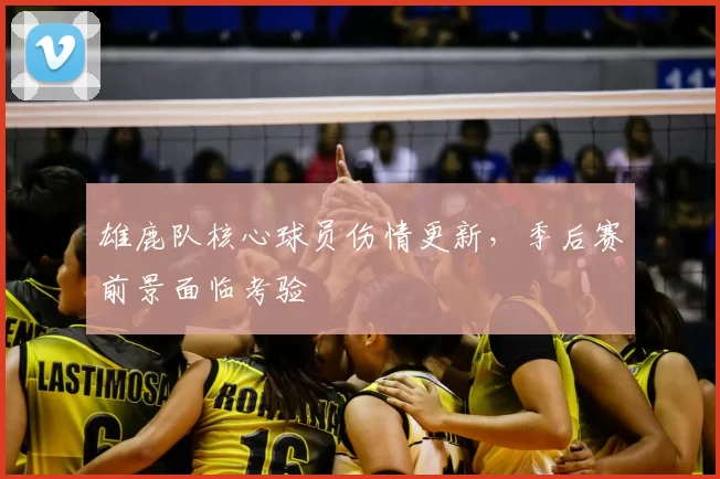 雄鹿队核心球员伤情更新,季后赛前景面临考验