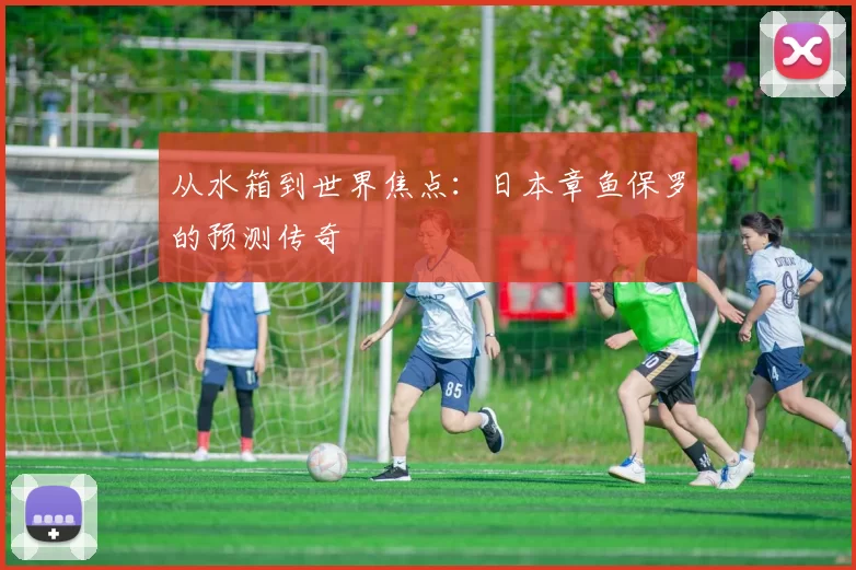 从水箱到世界焦点:日本章鱼保罗的预测传奇