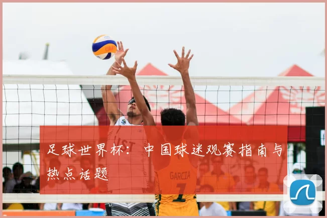 足球世界杯：中国球迷观赛指南与热点话题