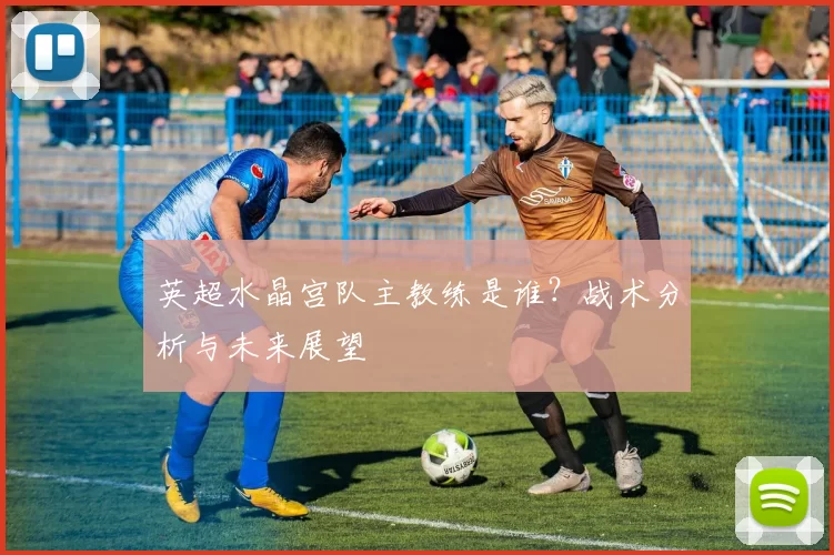 英超水晶宫队主教练是谁?战术分析与未来展望