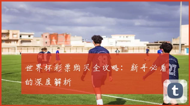 世界杯彩票购买全攻略：新手必看的深度解析
