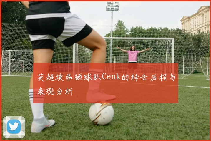 英超埃弗顿球队Cenk的转会历程与表现分析