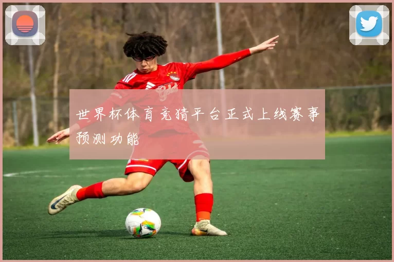 世界杯体育竞猜平台正式上线赛事预测功能