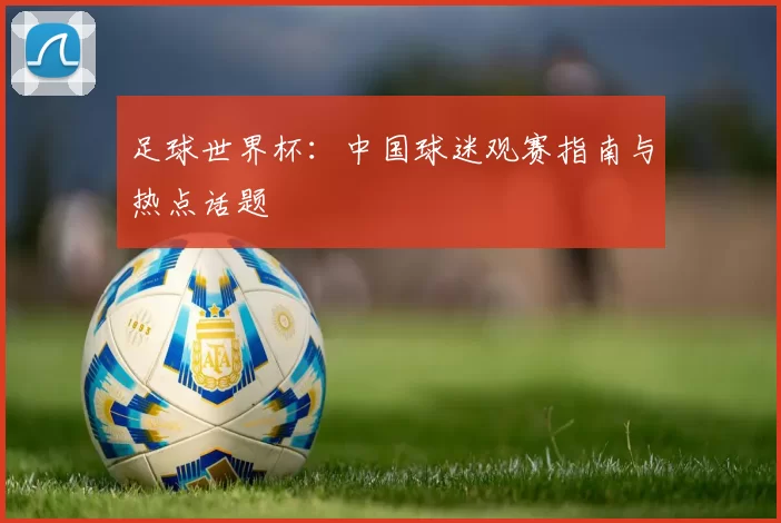 足球世界杯:中国球迷观赛指南与热点话题