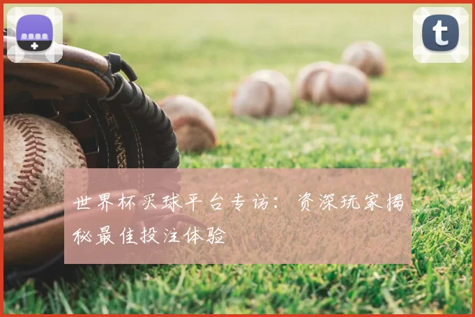 世界杯买球平台专访:资深玩家揭秘最佳投注体验