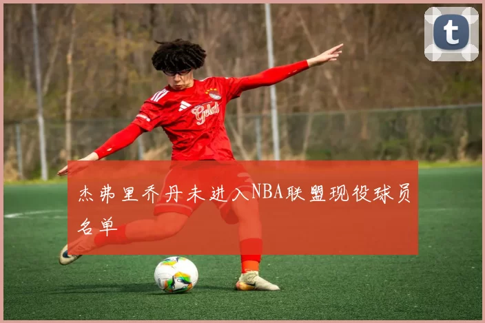杰弗里乔丹未进入NBA联盟现役球员名单